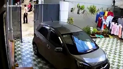 Learner driver accidentally crashes while trying to reverse car