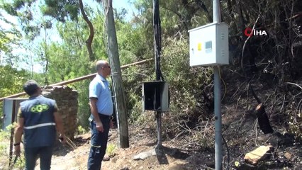 Manavgat'ta patlayan elektrik panosu orman yangınına sebep oldu