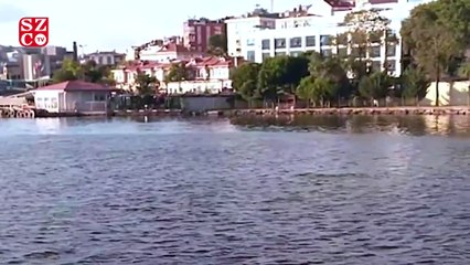 “Kirlendi” denilen Haliç’te yunuslar yüzdü