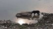 उझियानी में बीमार गाय ने तालाब में तोड़ा दम, प्रशासन के ऊपर उठे सवाल