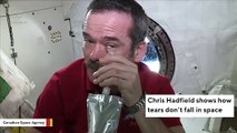 Here's what happens to tears in space