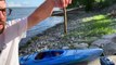 Canadian dad catches sunfish with huge lamprey on it