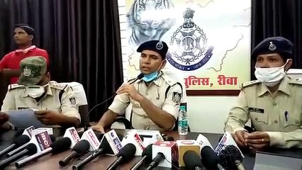 रीवा पुलिस ने गांजा तस्करों के खिलाफ बड़ी कार्रवाई की