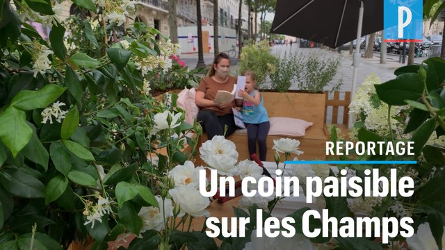 Champs-Elysées : des terrasses végétalisées « pour faire revenir » les Parisiens
