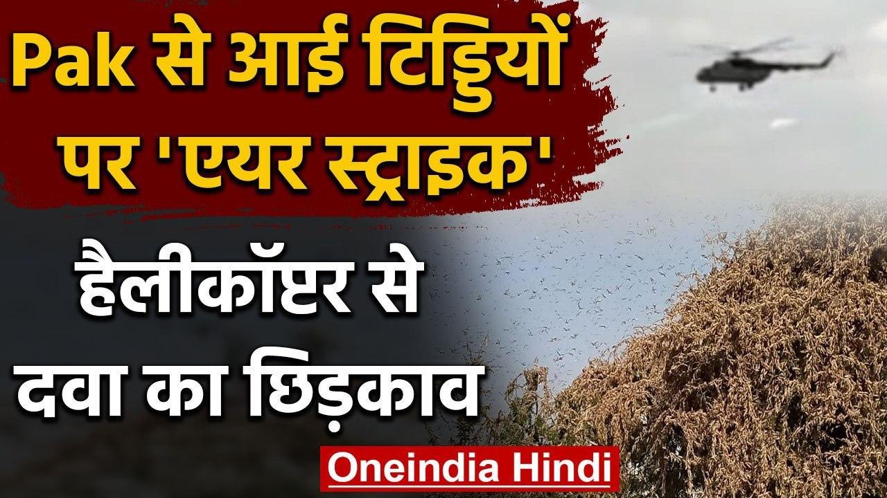 Pakistan से आई टिड्डियों पर Air Strike, हेलीकॉप...