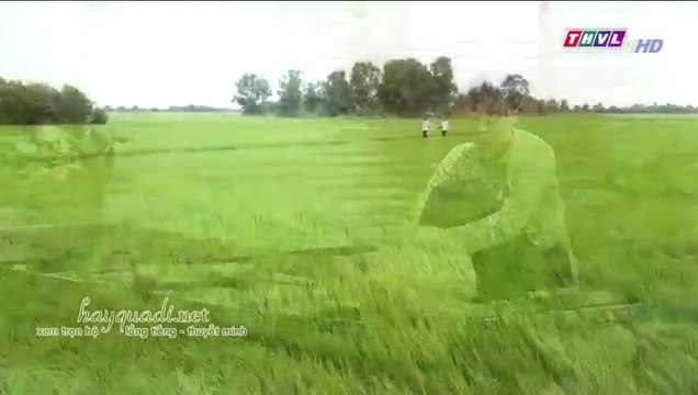 Dâu bể đường trần tập 8 - có link tập 9 và trọn bộ bên dưới ** phim THVL1 dau be duong tran tap 8