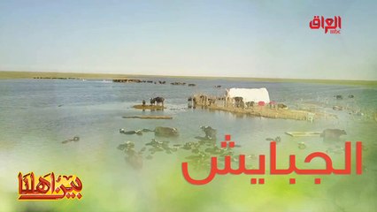 اليوم راح نشوف الحاضر بعيون الماضي في قضاء الجبايش