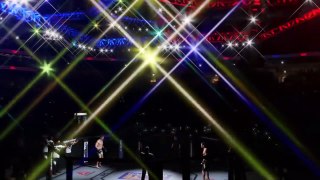 UFC 2 - Gabriel Gonzaga vs Todd Duffee (CPU vs CPU)