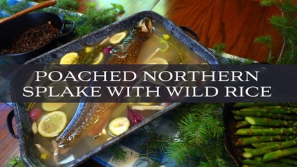 Poached Northern Splake with Wild Rice with The Outdoors Chef