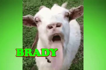 Happy Birthday Brady - Brady's Birthday Song - Brady's Birthday Party