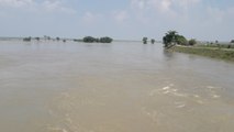 Video: How water level rising in Gandhak river in Bihar