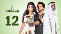 Episode 12 - Oud Akhdar Series _ الحلقة الثانية عشر - مسلسل عود اخضر