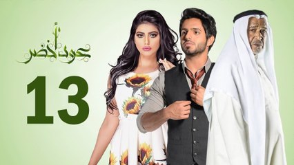 Episode 13 - Oud Akhdar Series _ الحلقة الثالثة عشر - مسلسل عود اخضر