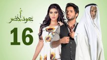 Episode 16 - Oud Akhdar Series _ الحلقة السادسة عشر - مسلسل عود اخضر