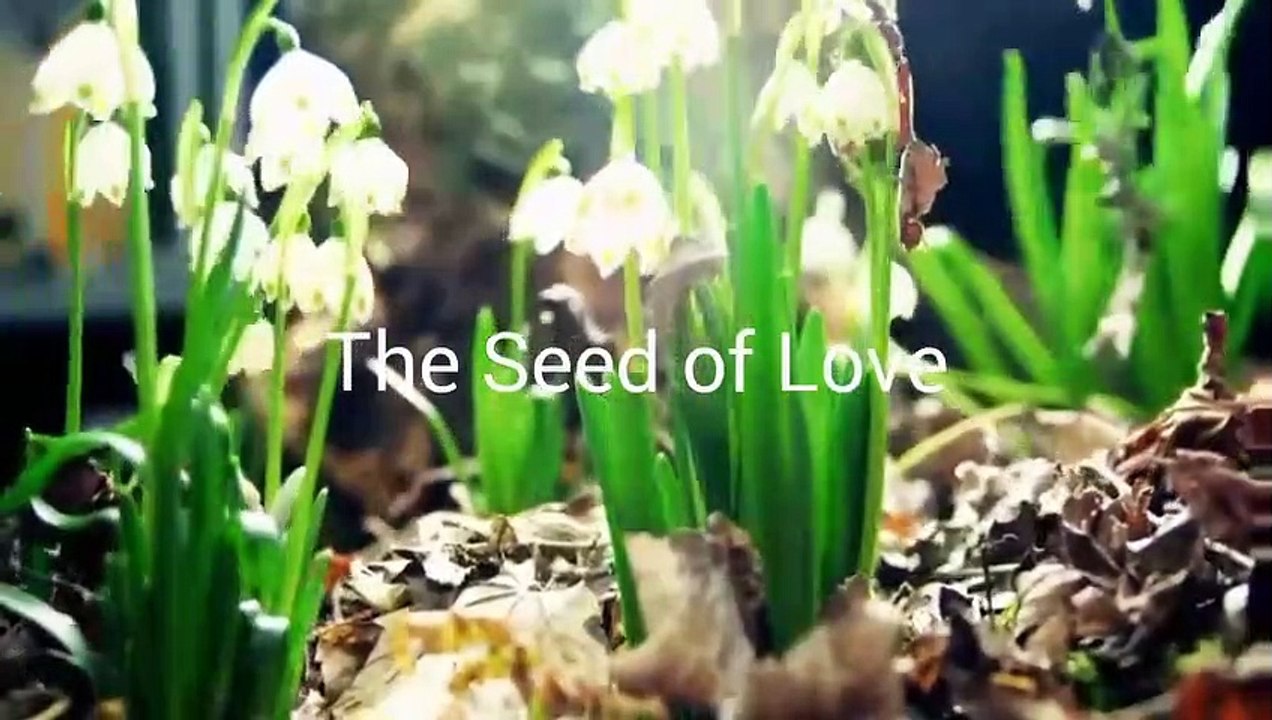 Jad Mehanna - Be pure