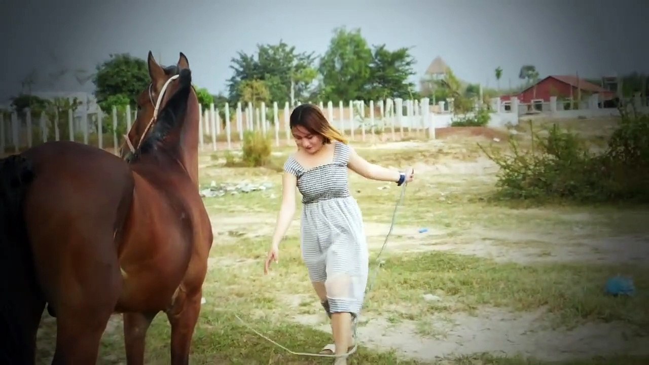Life with Horses- My cute Ah Ly gelding... I love my horse!_HD movie clips