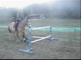 Apem CSO avec Shet & Diva