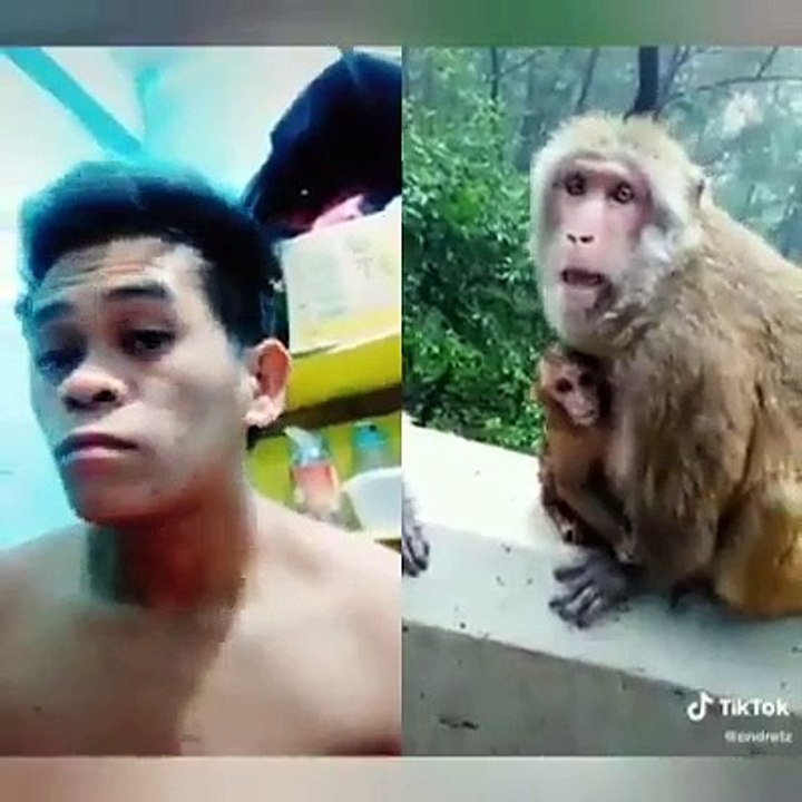 Funny Tiktok compilation"happy Lang "