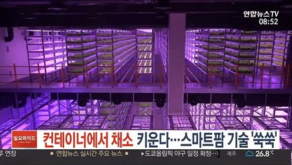 컨테이너에서 채소 키운다…스마트팜 기술 '쑥쑥'