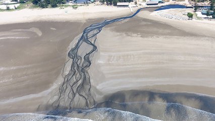 Nghệ An: Nước thải trang trại nuôi tôm chảy thẳng ra biển