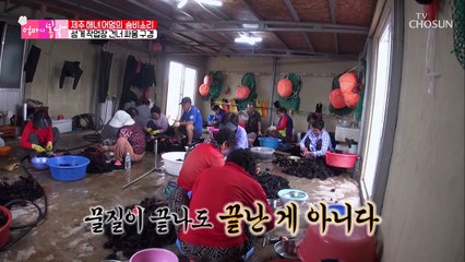 해녀 엄마는 『성게 분리』 작업 달인