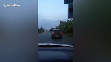 Motorcyclist stands on seat while riding along road in Cambodia