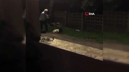 Ordu’da köpekleri sopa ile döven adam kelepçelenerek gözaltına alındı