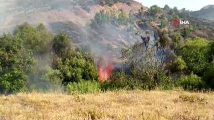 Elazığ’da 2 gün süren orman yangını söndürüldü