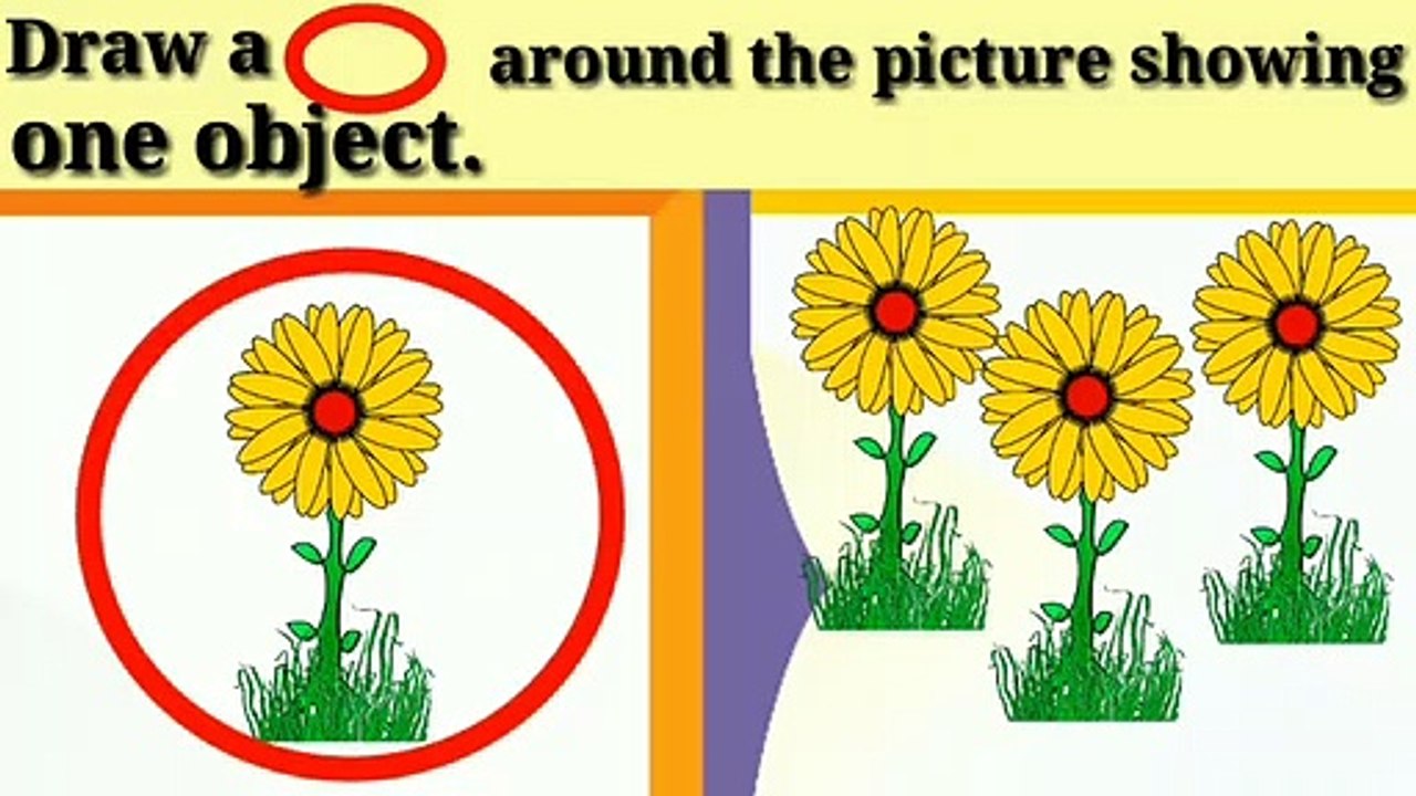 one and many concept for kids | one and many for class 1 | Radial education hub
