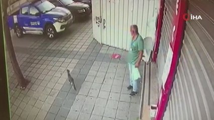 Hırsızlığın bu kadarı da pes dedirtti
