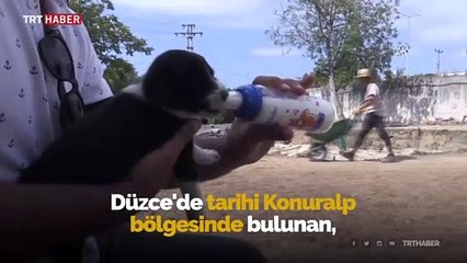 Kazı ekibi '7 cüceler'e bebek gibi bakıyor