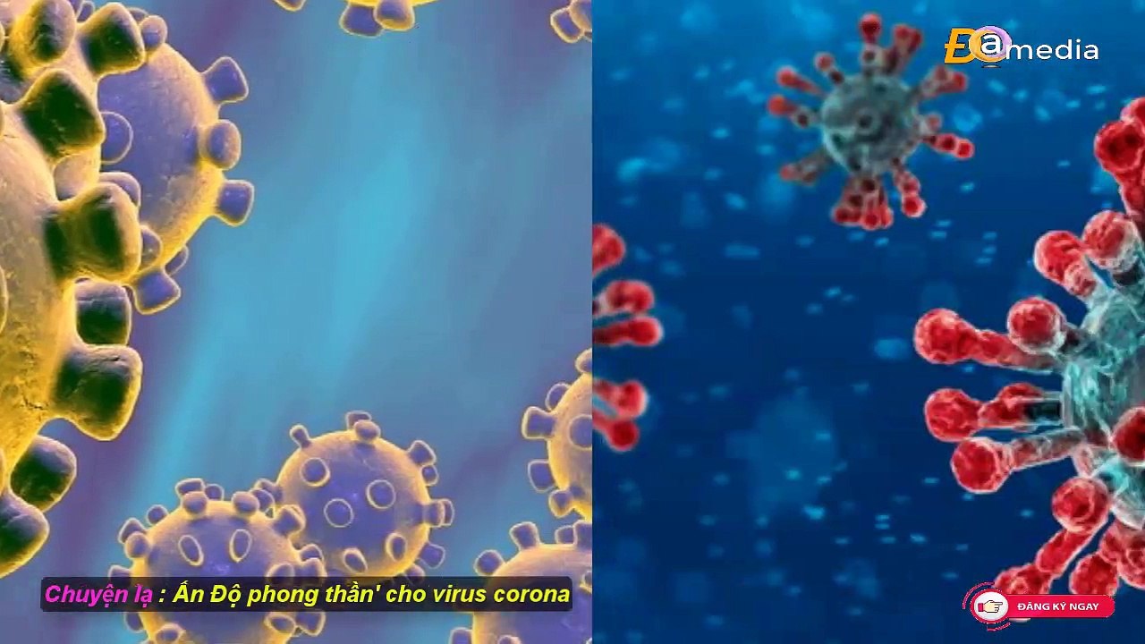 Chuyện lạ phong thần cho virus corona.