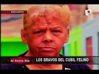 Los bravos del “Cubil Felino”