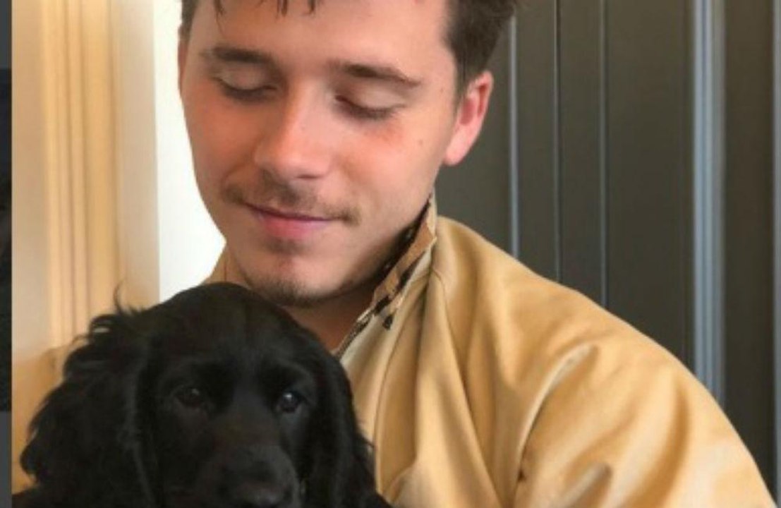 Brooklyn Beckham: Plant er zwei Hochzeiten?