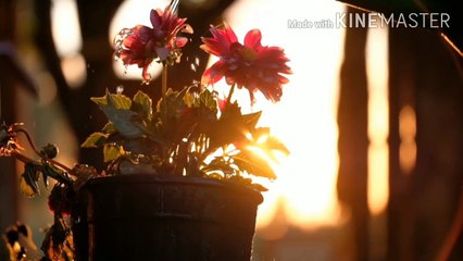 Ro water side effects. Ro water bad for health. Ro के पानी से हो सकता है भयंकर नुकसान।