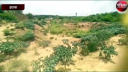 सफारी पार्क में प्रवासी पक्षियों की आमद के लिए बनाये गए 31 चेकडैम