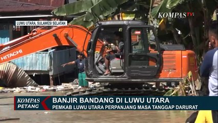 Banjir Luwu Utara Diduga Juga Akibat Pembalakan Liar di Hutan