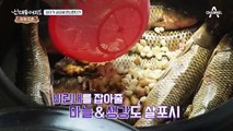 보기만 해도 원기 회복! 하루 매출은 160 만원?!