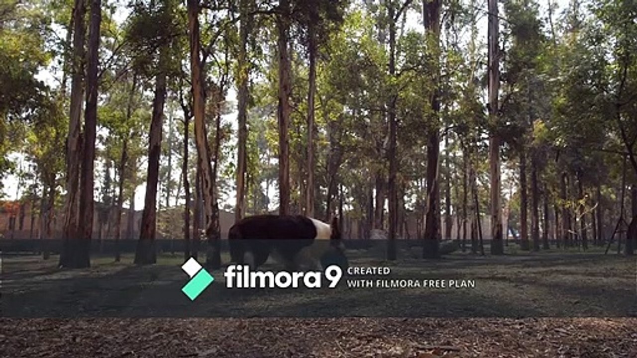 Something r memorable #memoryrepair #dailylifestory #drsajal #Tricky Animators