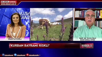 Haber 13 - 19 Temmuz 2020 - Gülben Başyiğit - Ulusal Kanal