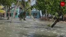 Hundreds of houses flooded in sea erosion at Chellanam, a COVID-19 cluster in Kerala