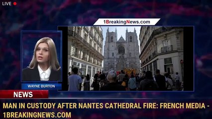 Man in custody after Nantes cathedral fire: French media - 1BreakingNews.com