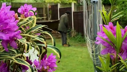 The Instant Gardener episode 8