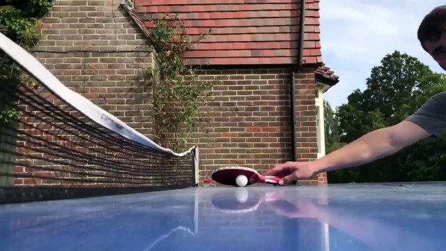 Un chien arbitre un match de ping-pong