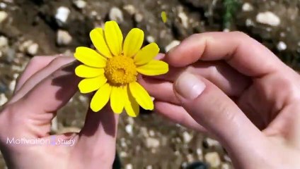 GET UP & GET IT DONE - New Motivational Video Compilation for Success & Studying