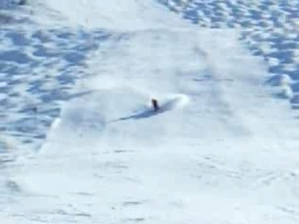 Vodnok Ski Golf Arc 2000