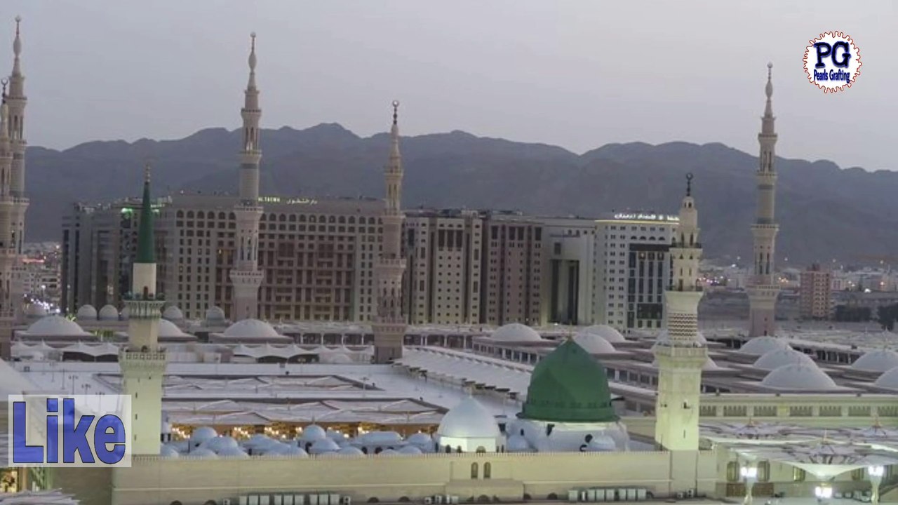 Allah par tawakal|Rizaq milny k anokhy waqiat|Allah par tawakal ki khani|Faith in ALLAH