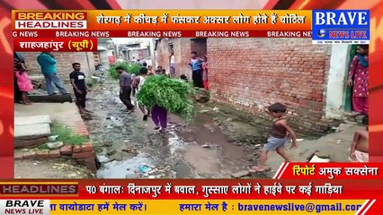 #Tilhar : प्रधानमंत्री के सपने की उड़ती धज्जियां, 6 माह से उखड़ी पड़ी सड़क, कीचड़ में फंस कर अक्सर लोग होते चोटिल | BRAVE NEWS LIVE