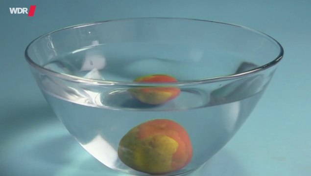 Die Sendung mit der Maus - Betonboot