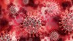 coronavirus  (COVID-19). History of coronavirus. SARS, MERS, and COVID-19. Symptoms of covid-19. What is pandemic?  What are 5 stage of corona virus. How does WHO decides it? Pandemic, Epidemic, Endemic and Out-break.